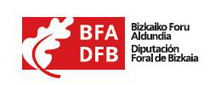 Bizkaiko Foru Aldundia